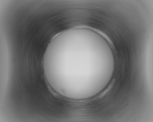 X0000115520897200911061021