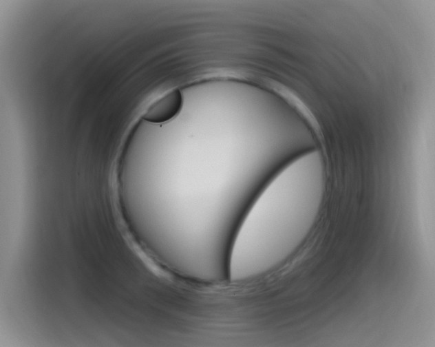 X0000115520898200911061021