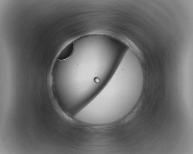 X0000115520900200911061021