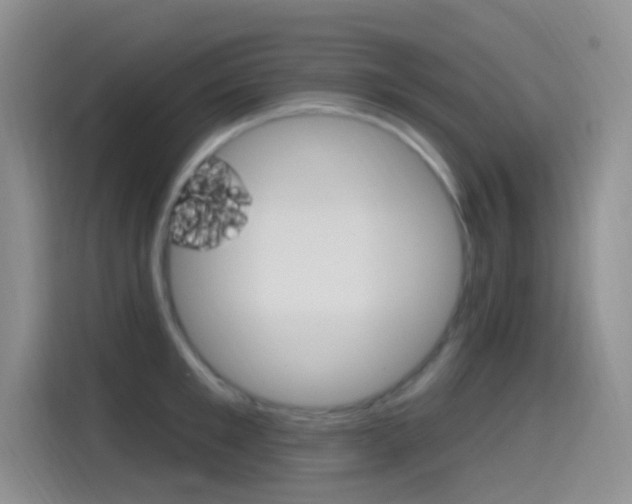 X0000115520901200911061021