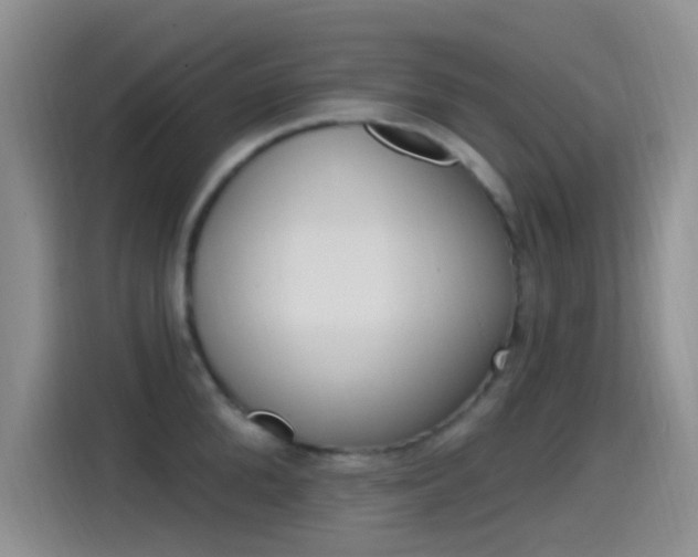X0000115520904200911061021
