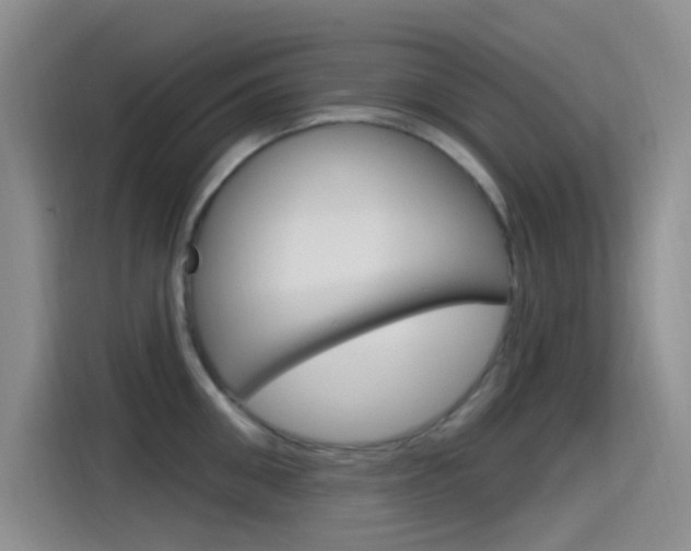 X0000115520906200911061021