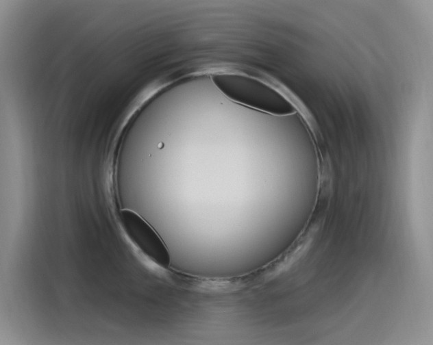 X0000115520909200911061021