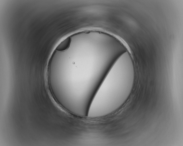 X0000115520911200911061021