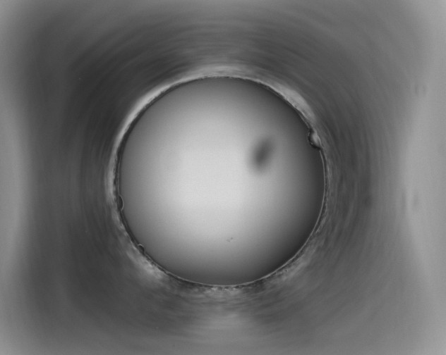 X0000115520912200911061021