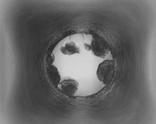X0000115520913200911061020
