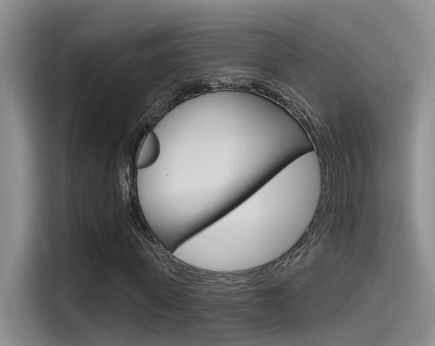 X0000115520915200911061020