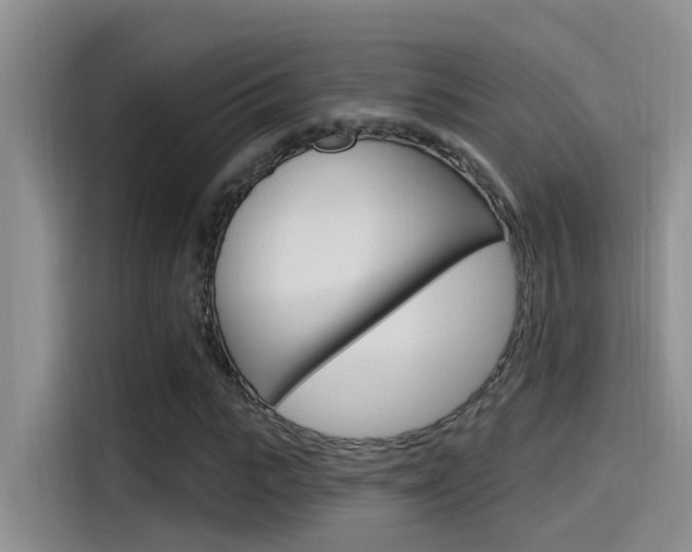 X0000115520919200911061020