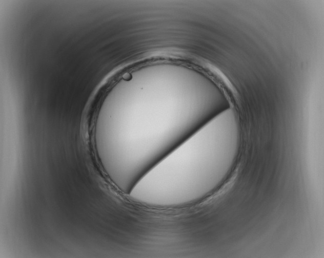 X0000115520923200911061020