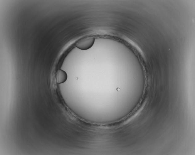 X0000115520925200911061020