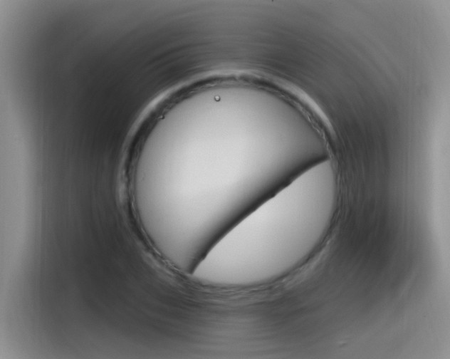 X0000115520927200911061020
