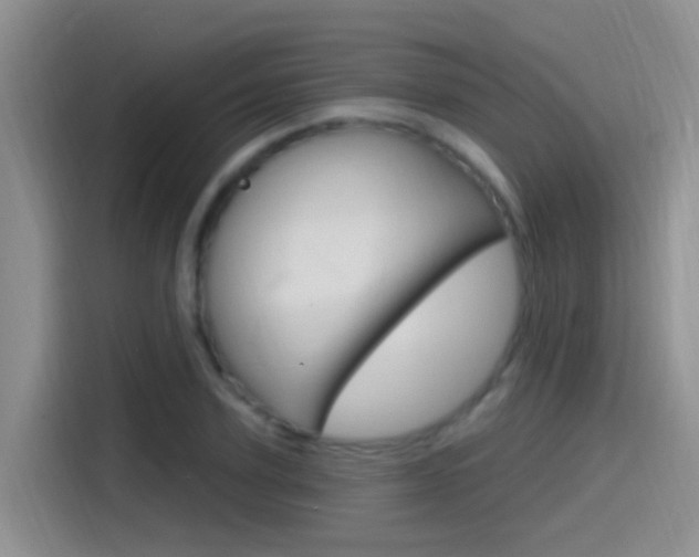X0000115520931200911061020
