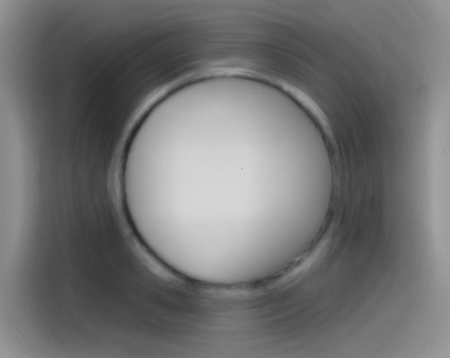 X0000115520941200911061020
