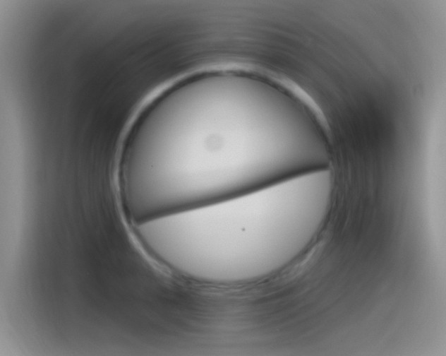 X0000115520943200911061020