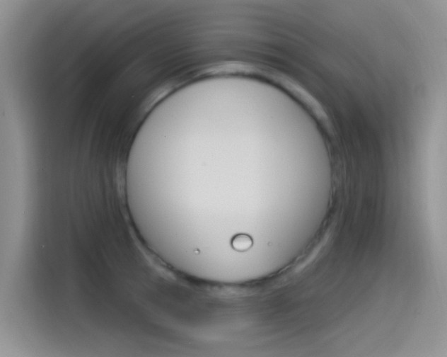 X0000115520945200911061020