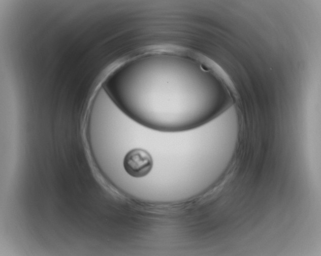 X0000115520946200911061020