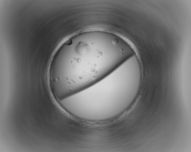 X0000115520949200911061020