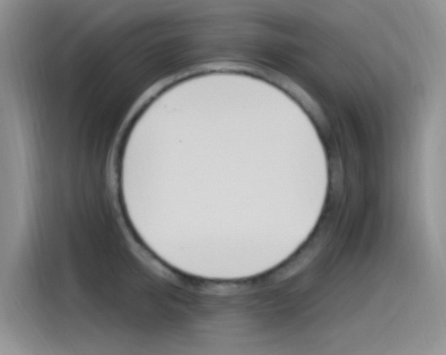 X0000115520950200911061020