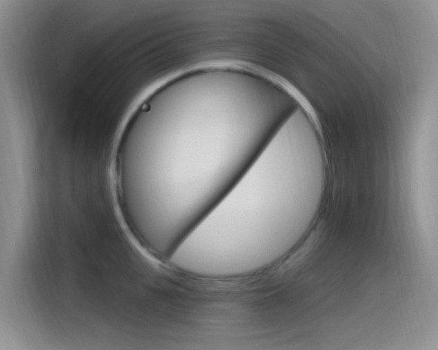 X0000115520951200911061020