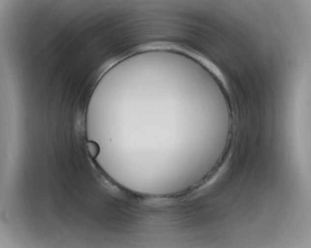 X0000115520953200911061020