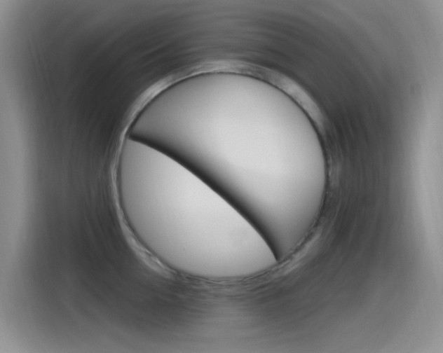 X0000115520954200911061020