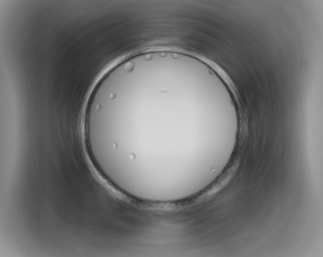X0000115520957200911061020