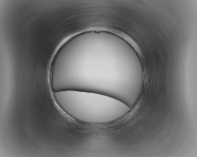 X0000115520958200911061020