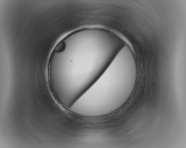 X0000115520959200911061021