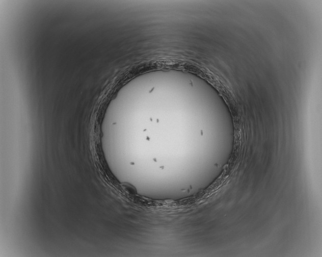 X0000115520961200911061020