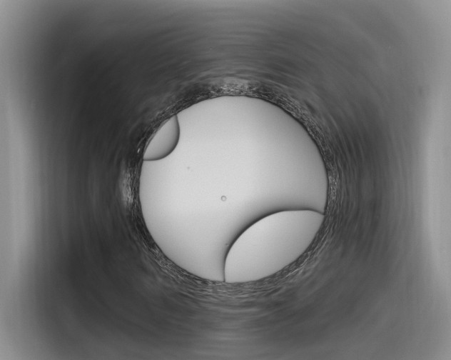 X0000115520962200911061020
