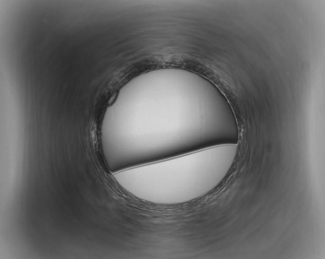 X0000115520963200911061020