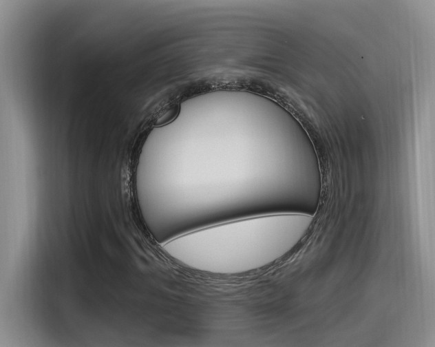 X0000115520964200911061020