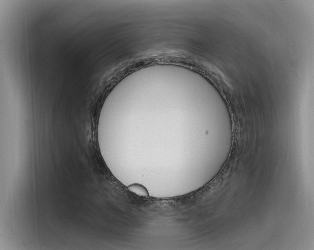 X0000115520966200911061020
