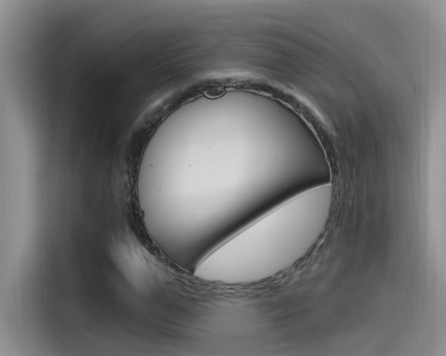 X0000115520967200911061020