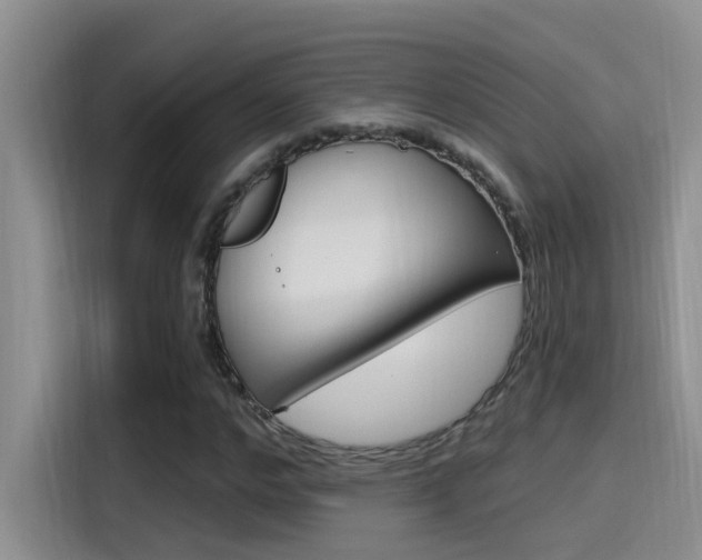 X0000115520968200911061020