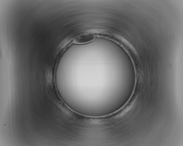 X0000115520969200911061020