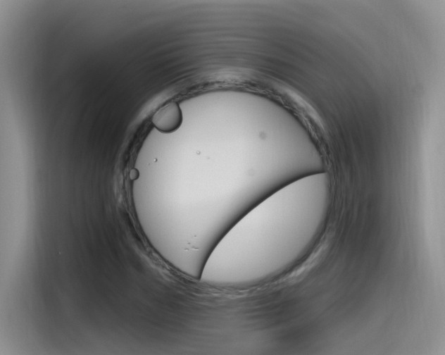 X0000115520970200911061020
