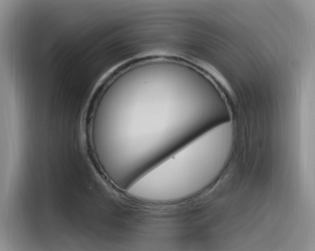 X0000115520972200911061020