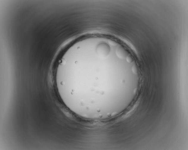 X0000115520974200911061020
