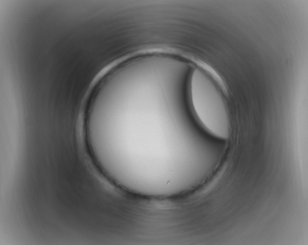 X0000115520983200911061020
