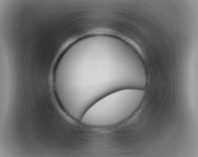 X0000115520990200911061020