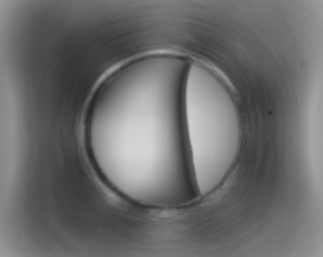 X0000115520991200911061020