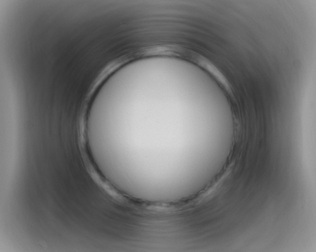 X0000115520994200911061019