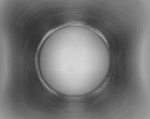 X0000115520997200911061019