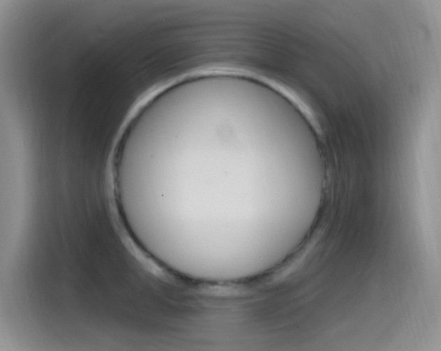 X0000115520998200911061019