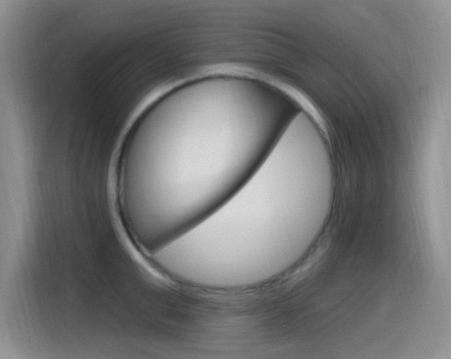 X0000115520999200911061019