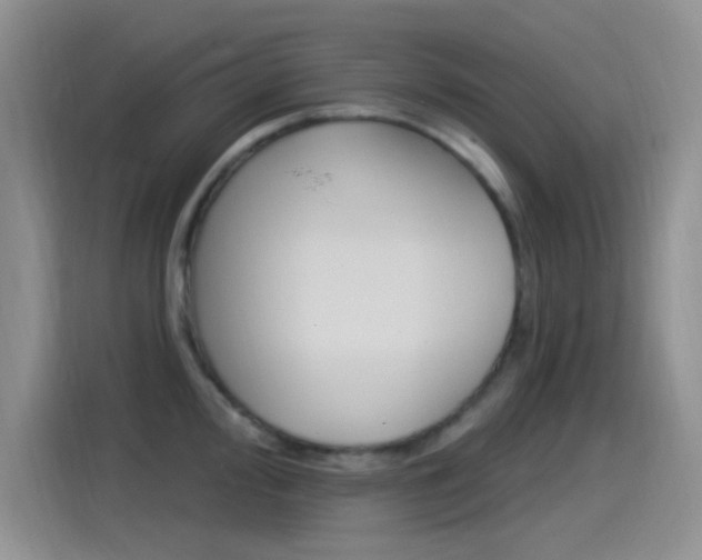 X0000115521000200911061019