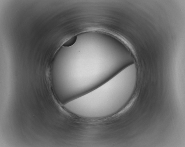 X0000115521001200911061019