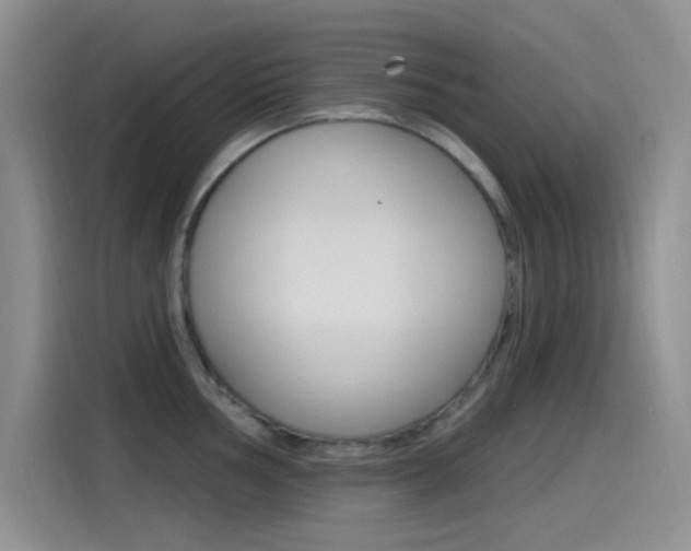 X0000115521002200911061019