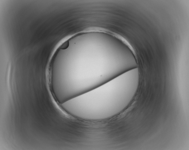 X0000115521003200911061019